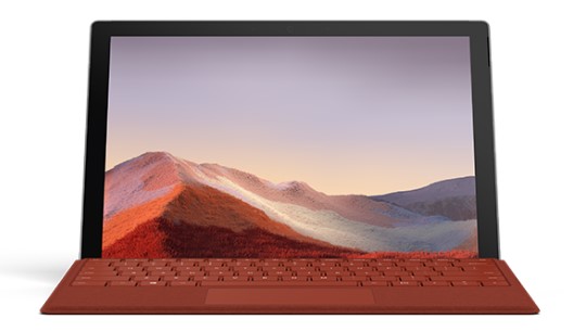 凤凰清洁和维护 Surface